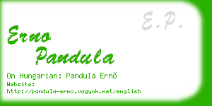 erno pandula business card